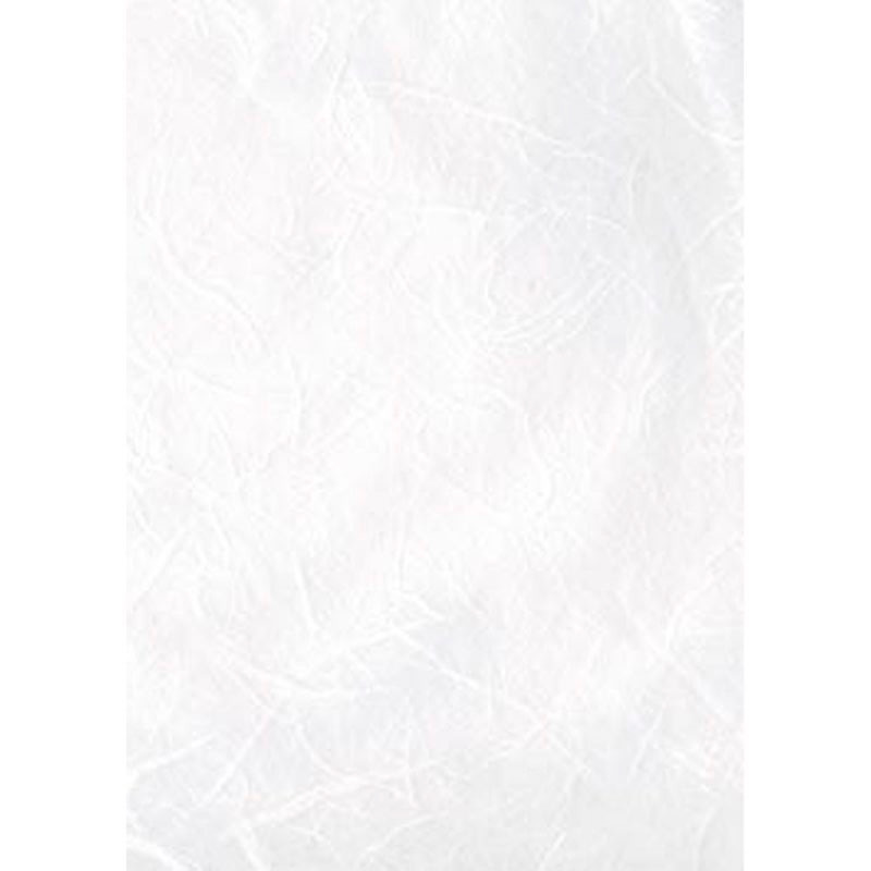 Papel de Arroz Manualidades Blanco Natural 54x33cm PFY - Badabadoc Art