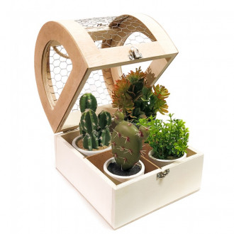 invernadero-cadence-mini-dm-cactus