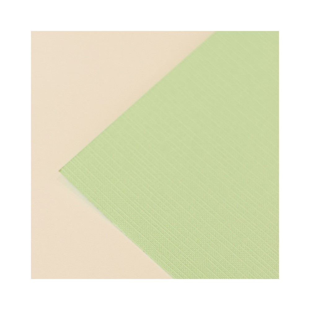 cartulina-textura-tela-sweet-verde-manzana-mintopia-10x12
