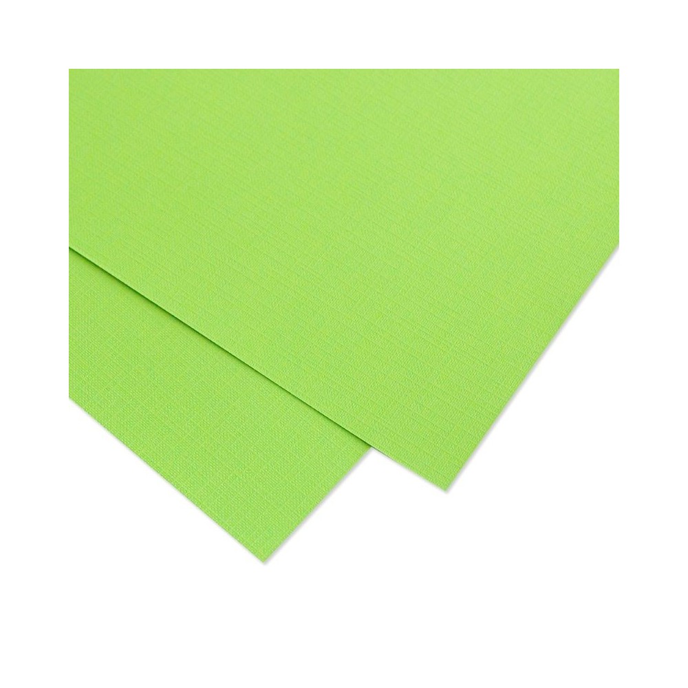 cartulina-premium-textura-tela-bosque-mintopia-12x12