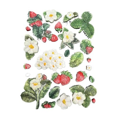 molde-silicona-hidden-grove-fresas-stamperia-a5-3