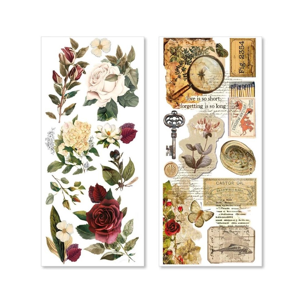 pegatinas-ciao-bella-cabinet-of-curiosities-3