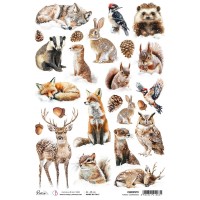papel-arroz-forest-companions-ciao-bella-a4