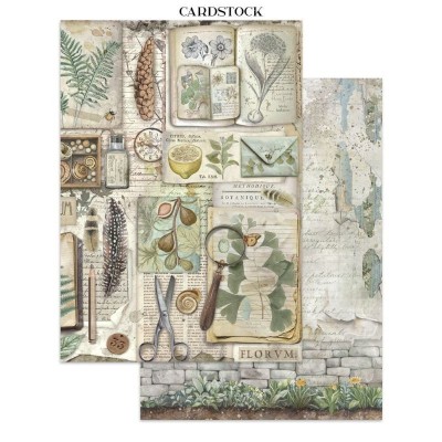 junk-journal-herbarium-silvae-stamperia-a4-6