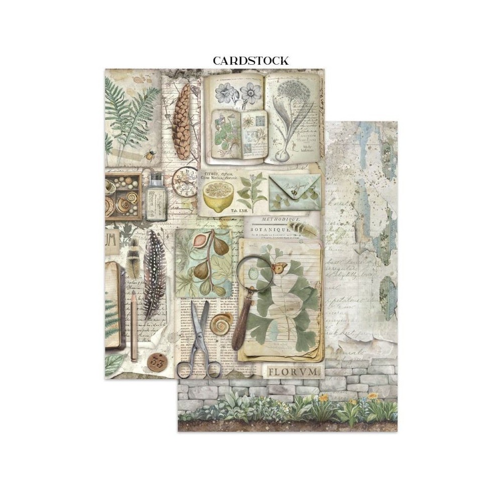 junk-journal-herbarium-silvae-stamperia-a4-6
