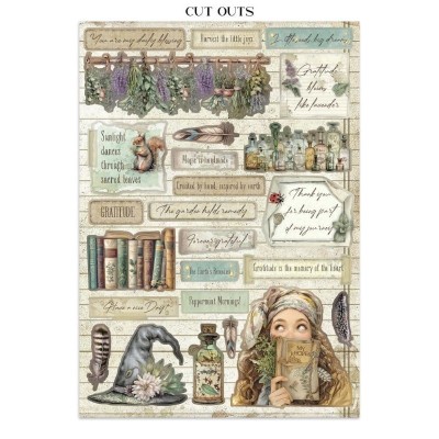 junk-journal-herbarium-silvae-stamperia-a4-7