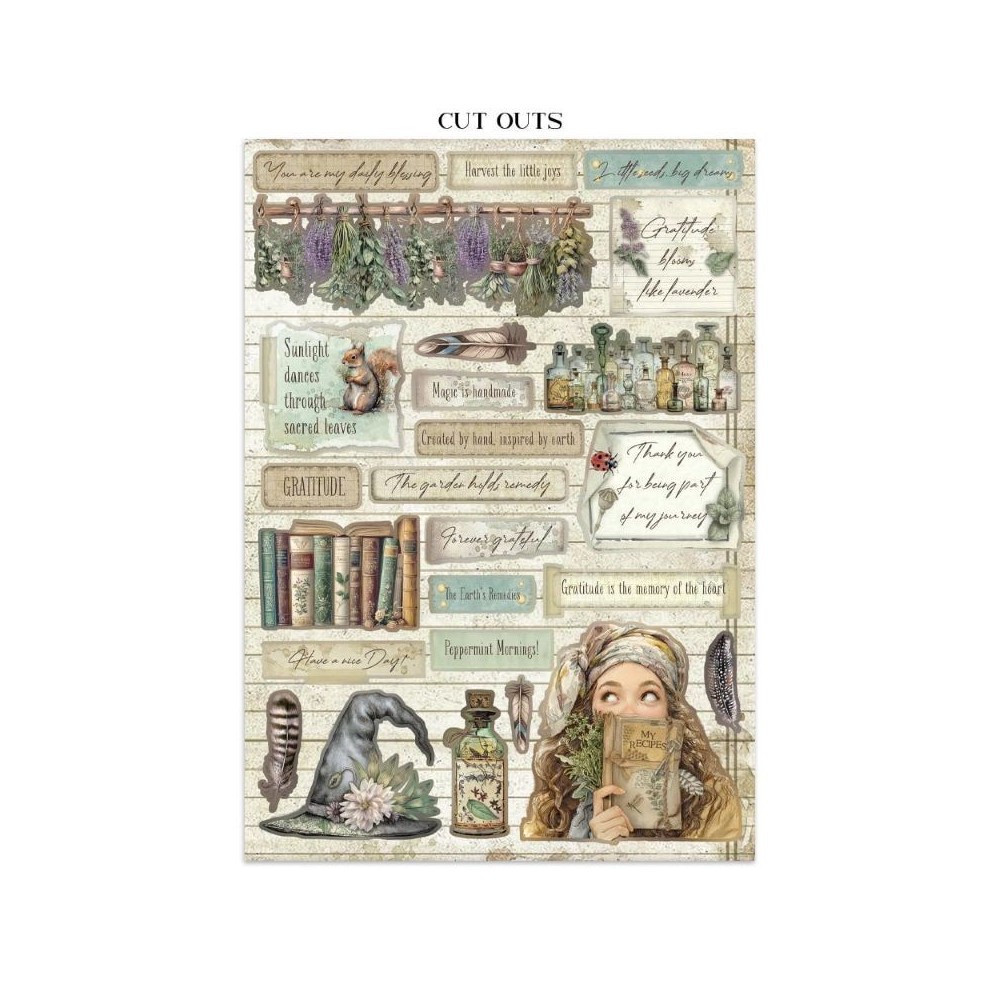 junk-journal-herbarium-silvae-stamperia-a4-7