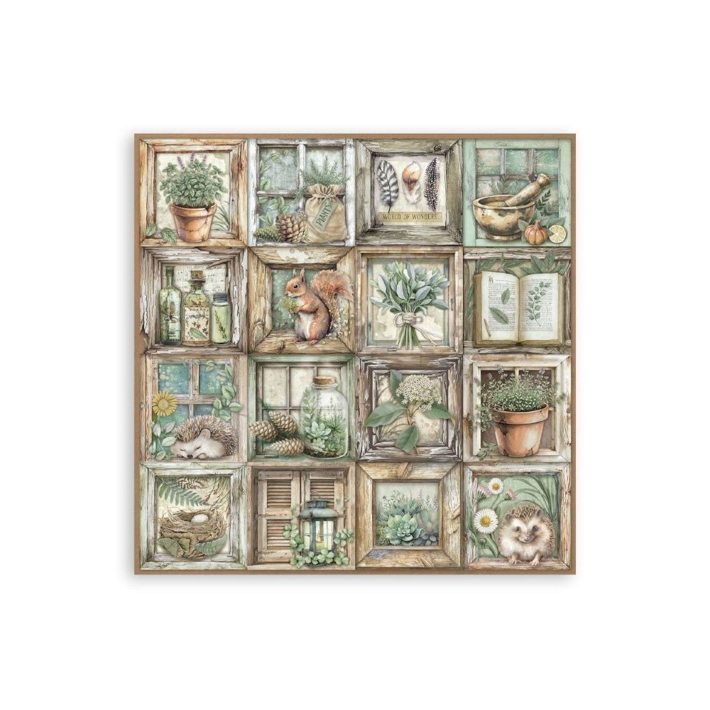 set-papeles-una-cara-herbarium-silvae-stamperia-12x12-3