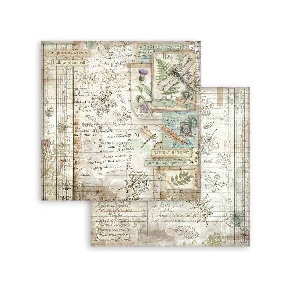 bloc-scrap-herbarium-silvae-stamperia-8x8-8