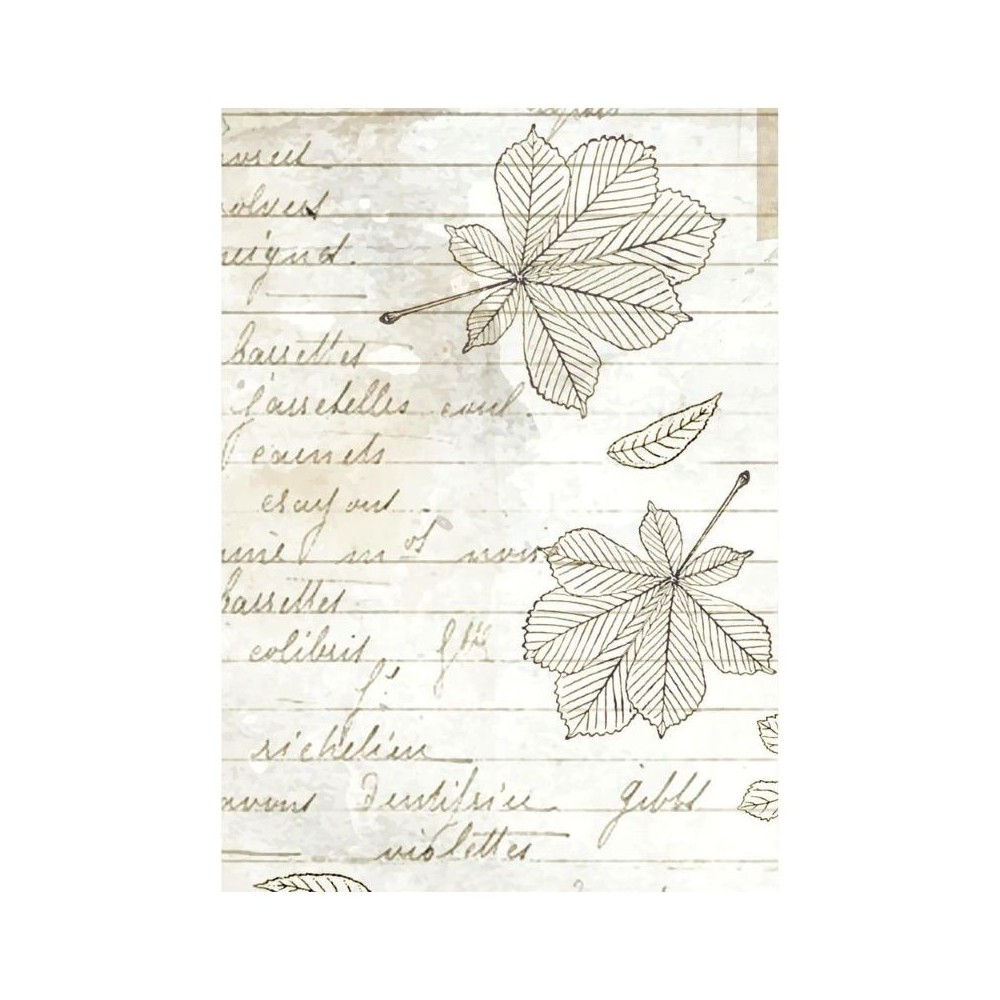 papel-arroz-stamperia-herbarium-silvae-a6-backgrounds-3