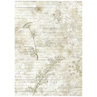 papel-arroz-stamperia-herbarium-silvae-a6-backgrounds-4
