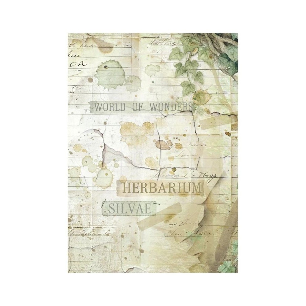 papel-arroz-stamperia-herbarium-silvae-a6-backgrounds-8