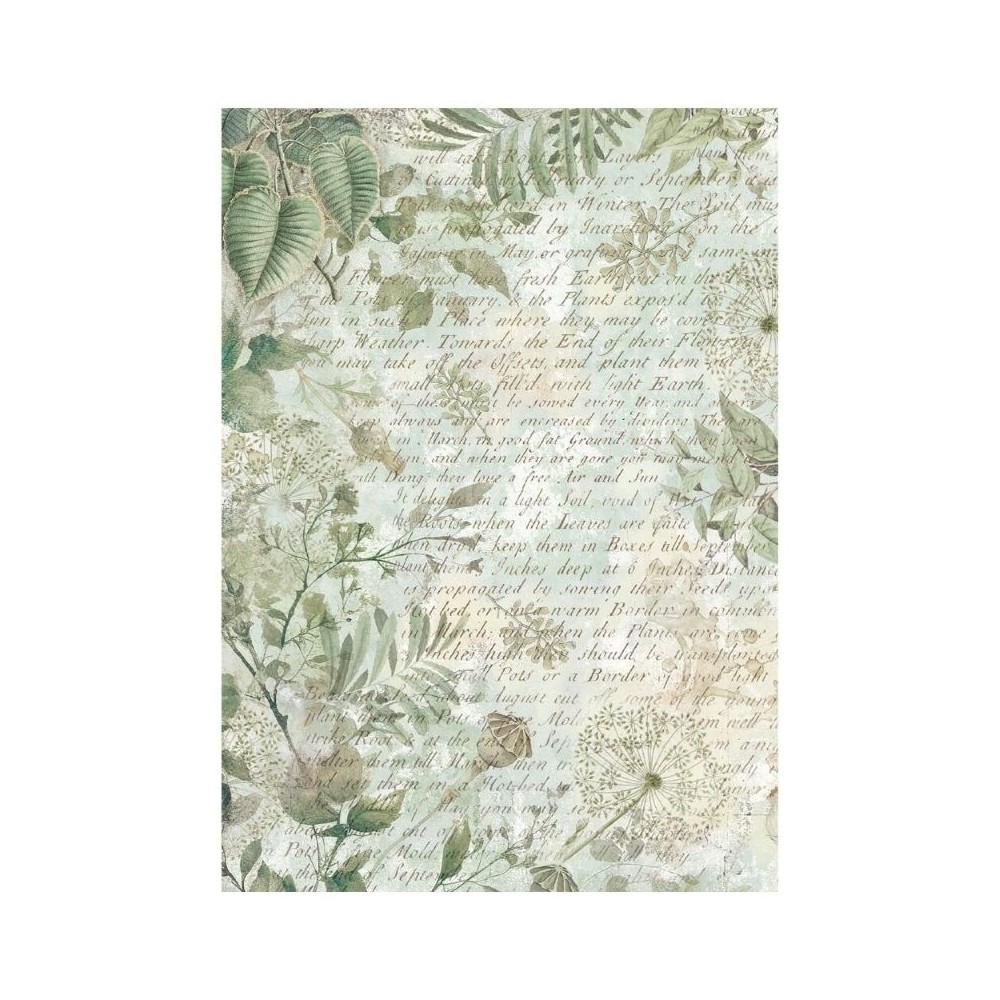 papel-arroz-stamperia-herbarium-silvae-a6-backgrounds-9