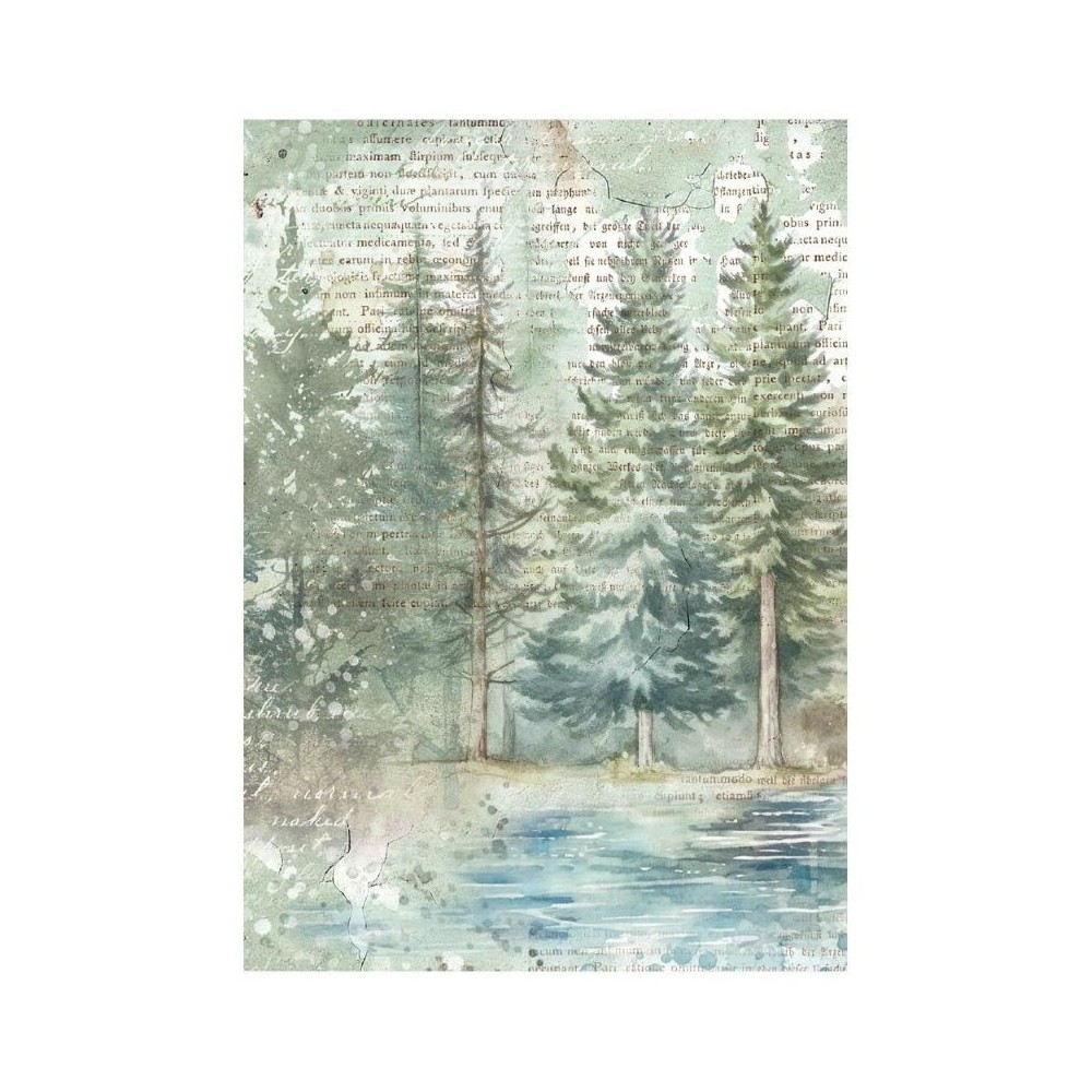 papel-arroz-stamperia-herbarium-silvae-a6-tea-time-4