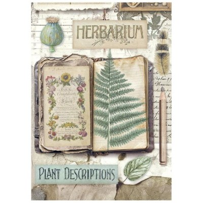 papel-arroz-stamperia-herbarium-silvae-a6-tea-time-7