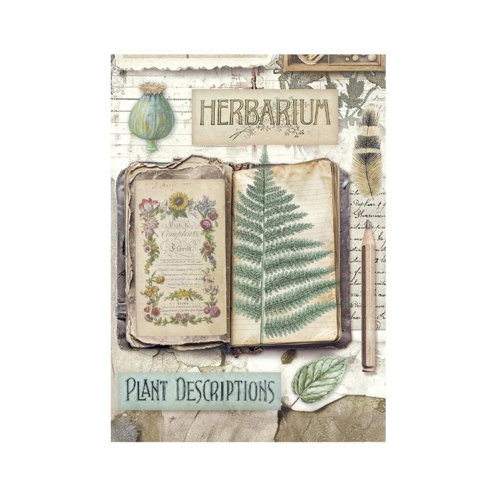 papel-arroz-stamperia-herbarium-silvae-a6-tea-time-7