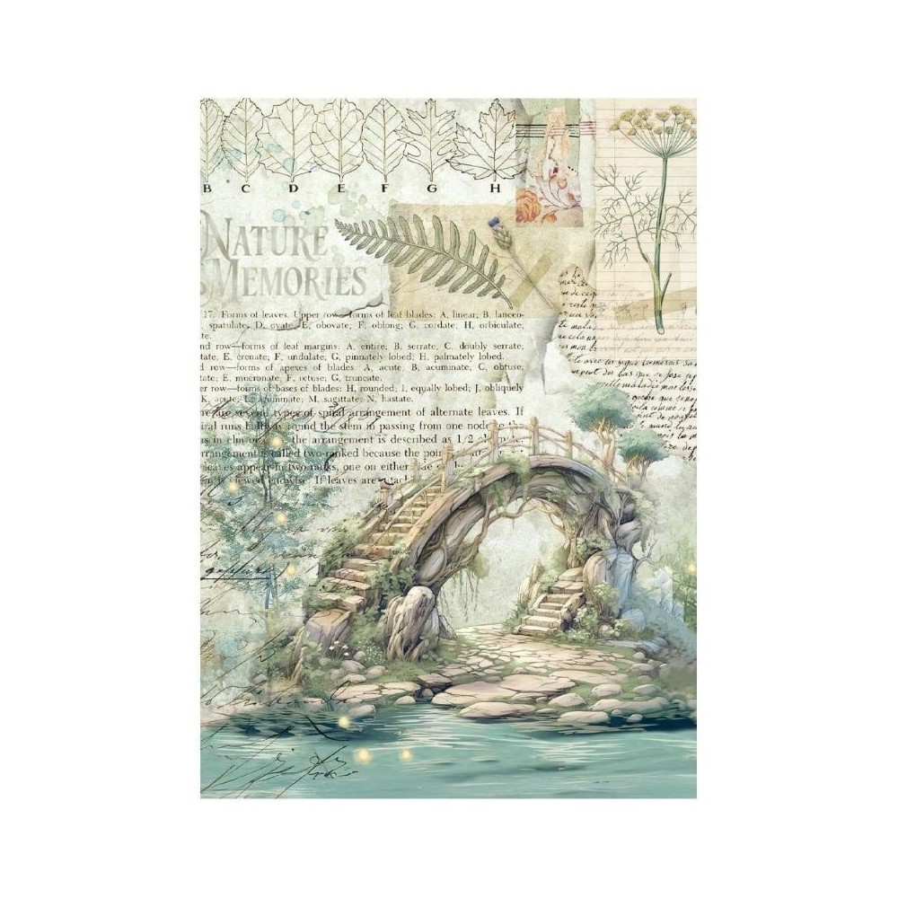 papel-arroz-stamperia-herbarium-silvae-a6-tea-time-9