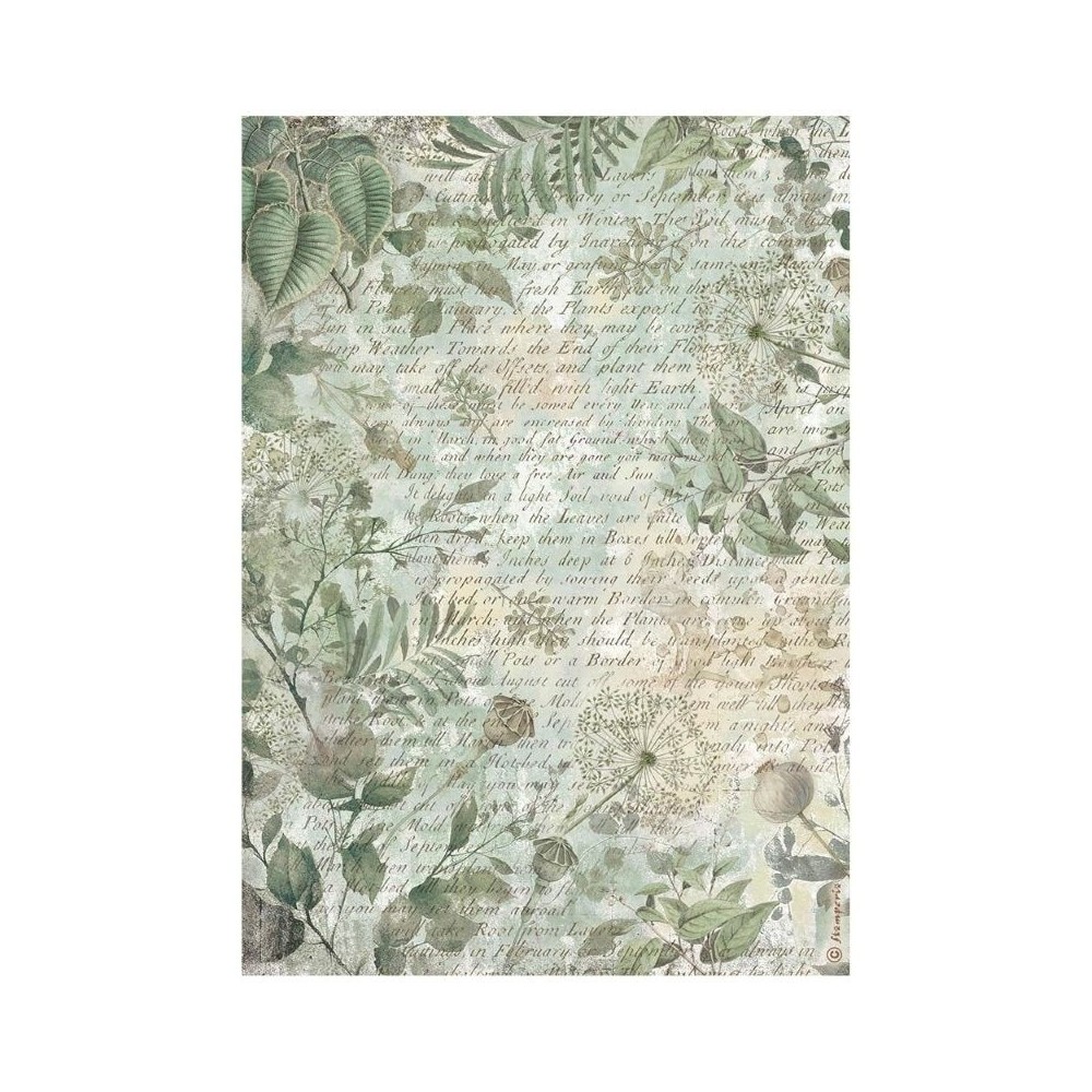 papel-arroz-stamperia-herbarium-silvae-fondo-hojas-a4