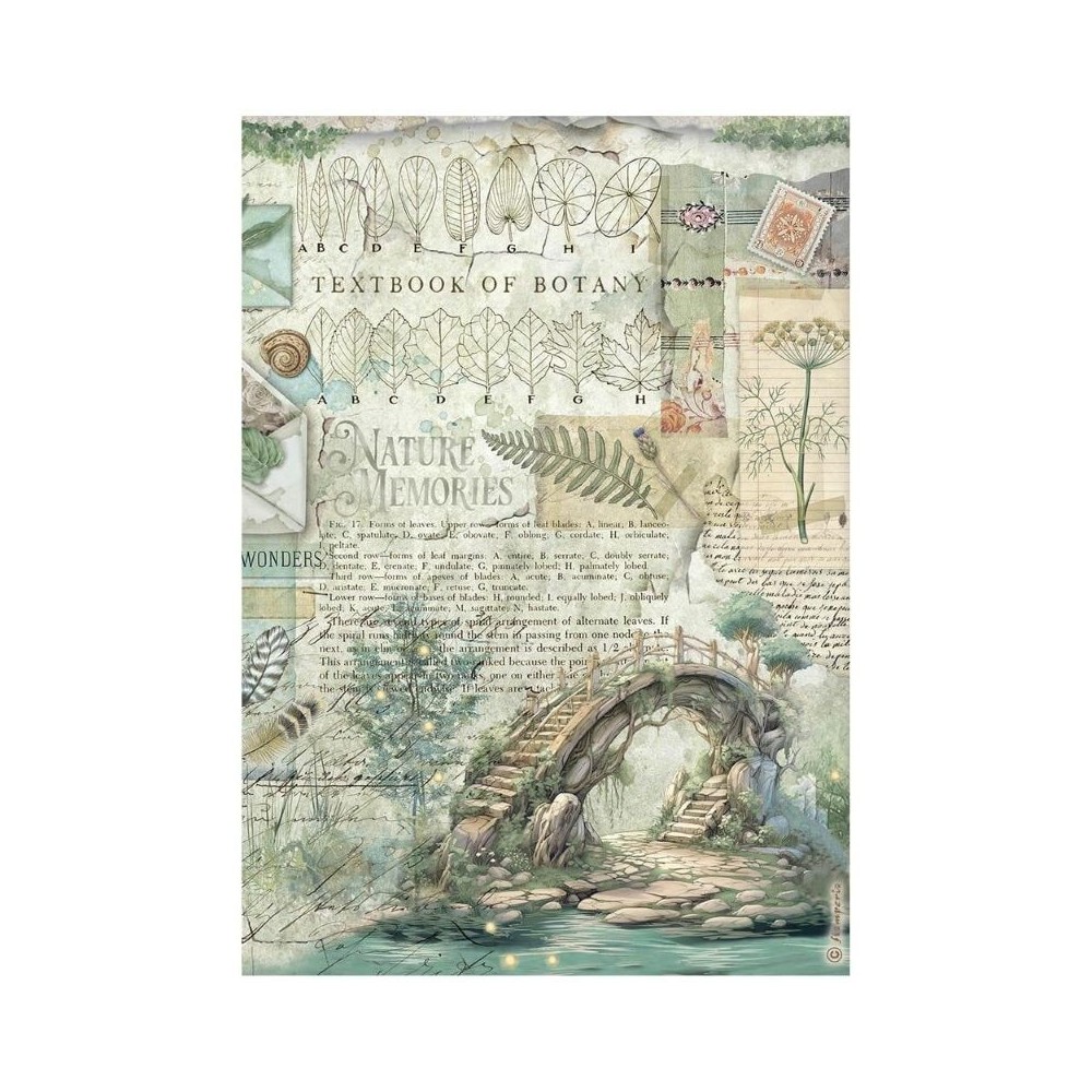papel-arroz-stamperia-herbarium-silvae-puente-a4