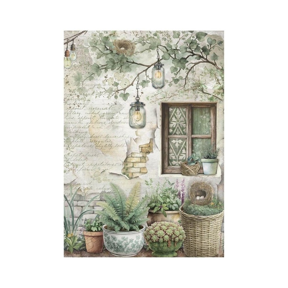 papel-arroz-stamperia-herbarium-silvae-ventana-a4