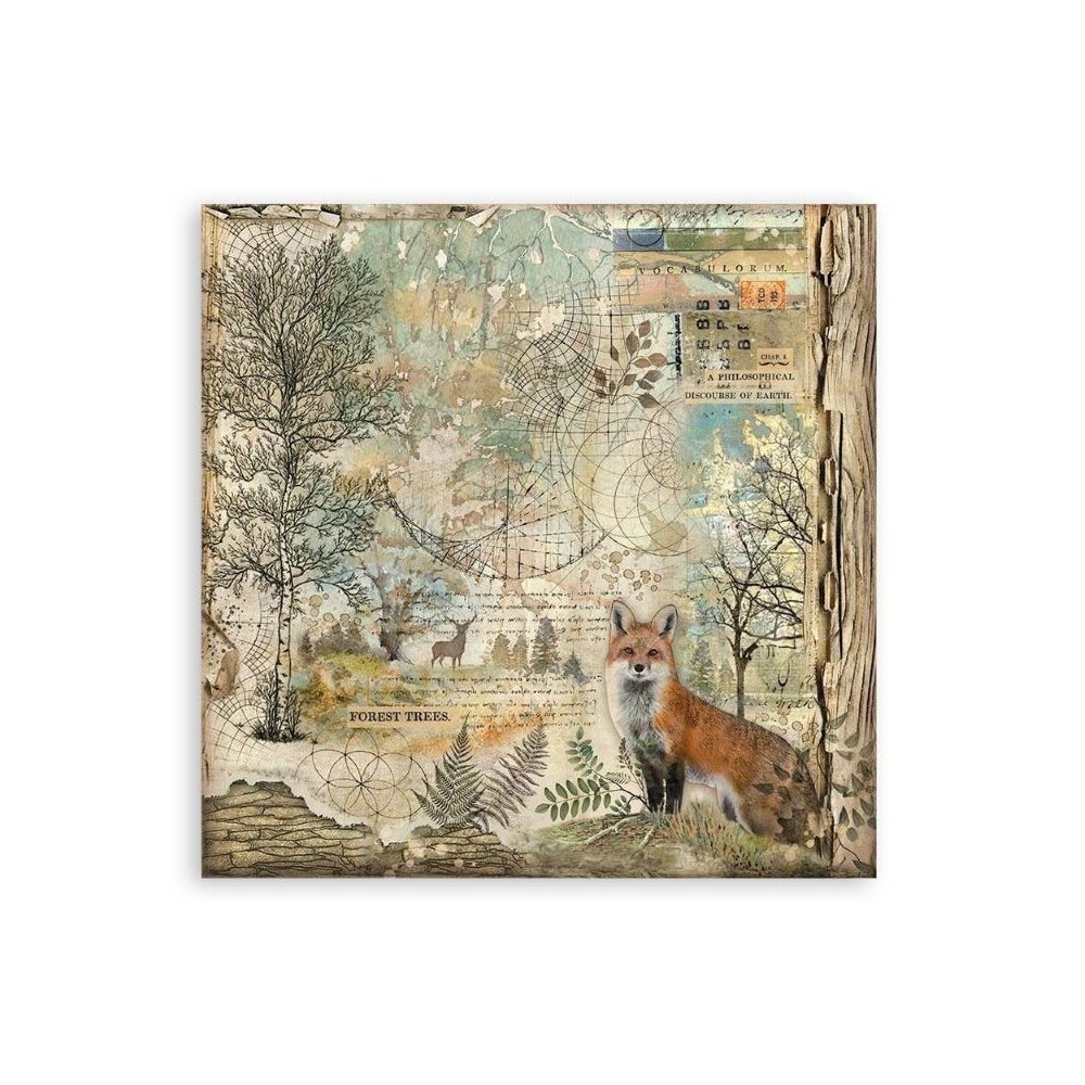 set-papeles-una-cara-forest-stamperia-12x12-2