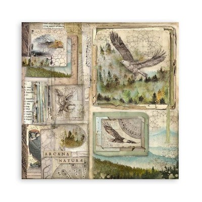 set-papeles-una-cara-forest-stamperia-12x12-3