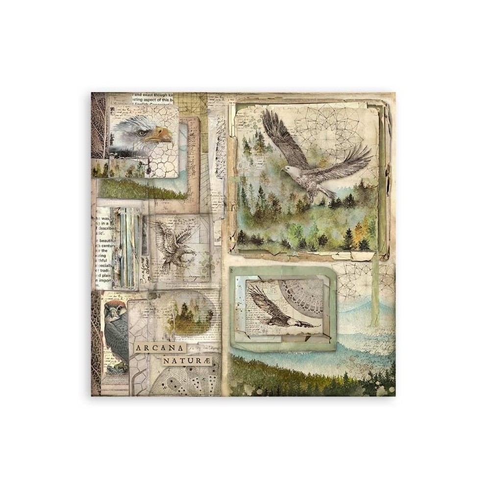 set-papeles-una-cara-forest-stamperia-12x12-3