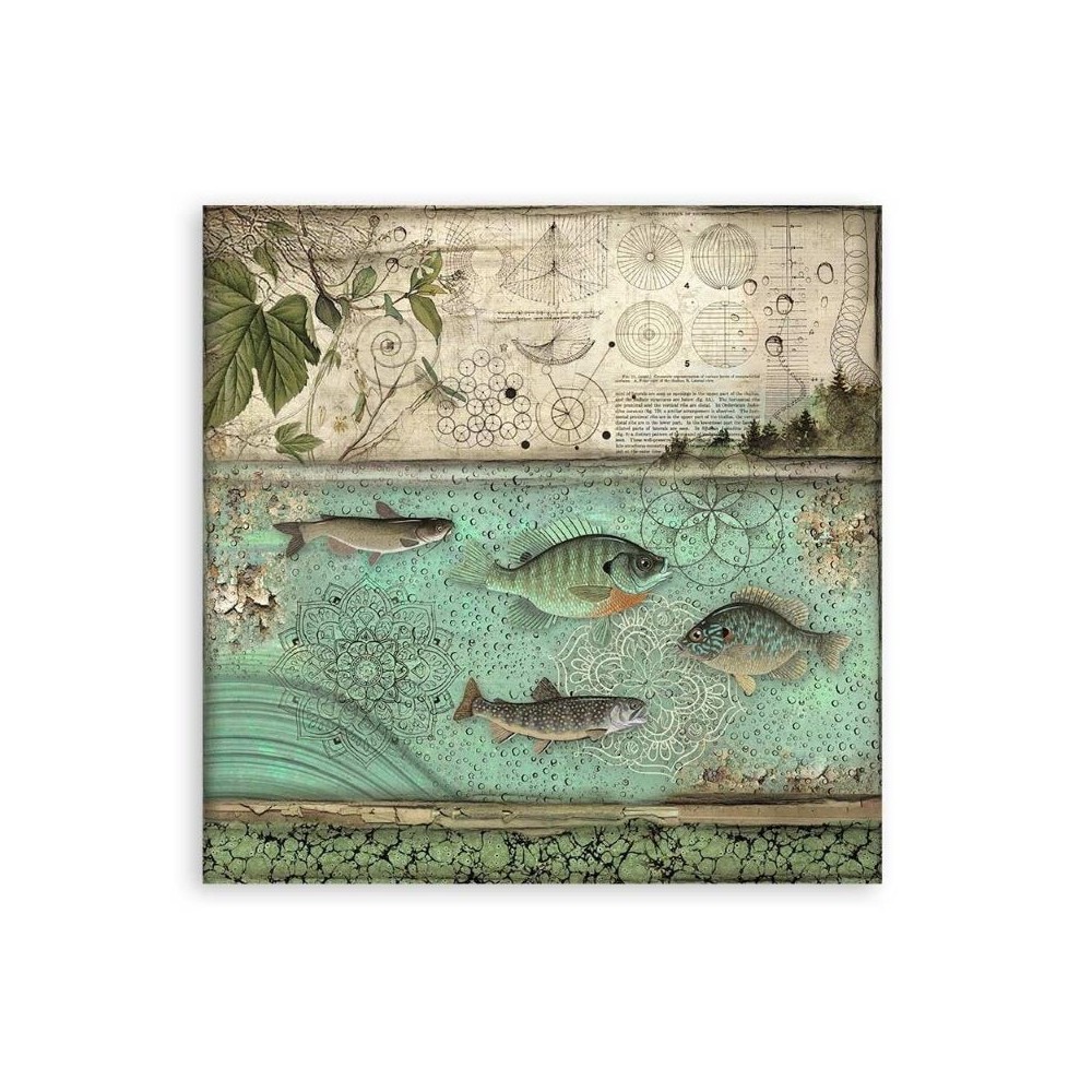 set-papeles-una-cara-forest-stamperia-12x12-4