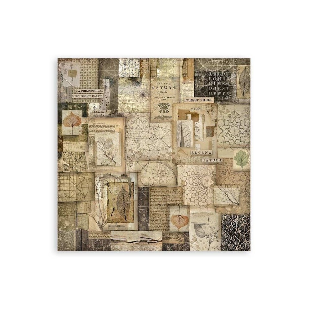 set-papeles-una-cara-forest-stamperia-12x12-7
