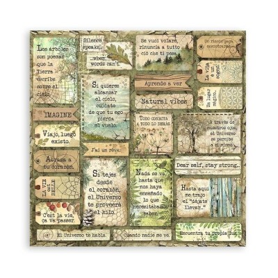 set-papeles-una-cara-forest-stamperia-12x12-8