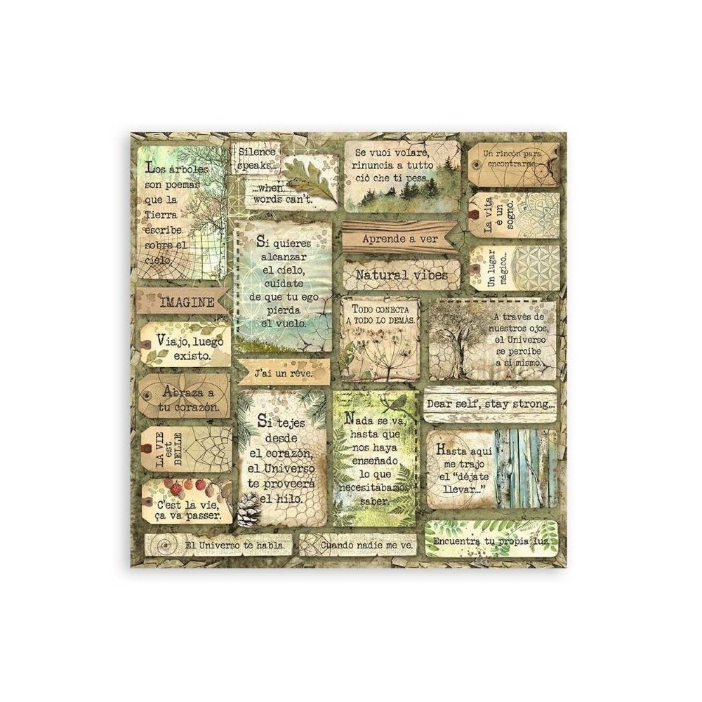 set-papeles-una-cara-forest-stamperia-12x12-8