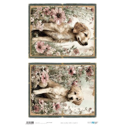 papel-arroz-farm-flowers-5-pfy-54x33cm