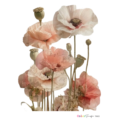 color-transfer-dtf-trm025-flores-montejo-27x21cm
