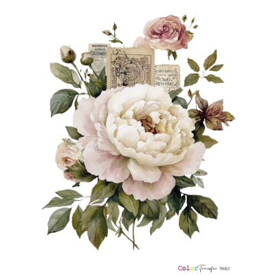 color-transfer-dtf-trm027-flores-montejo-27x21cm