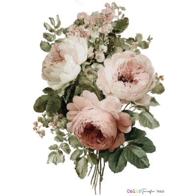 color-transfer-dtf-trm028-flores-montejo-27x21cm