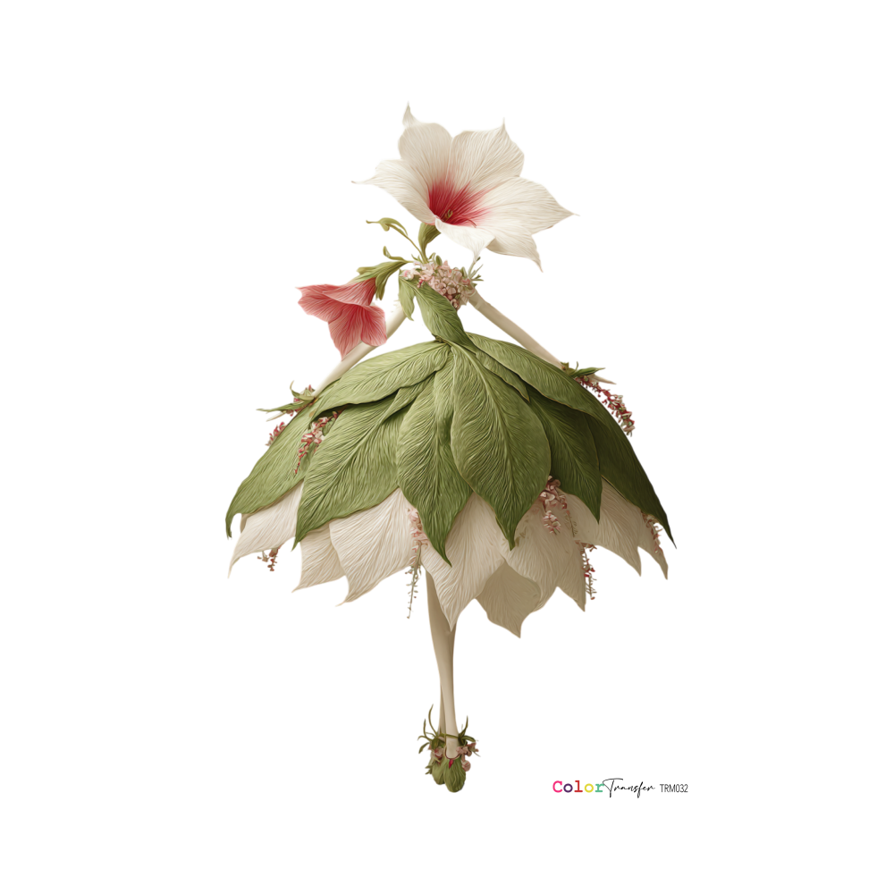 color-transfer-dtf-trm032-hada-montejo-27x21cm