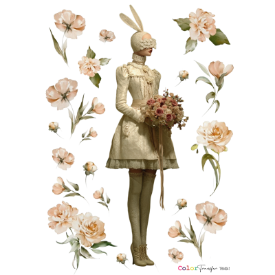 color-transfer-dtf-trm041-mujer-montejo-27x21cm