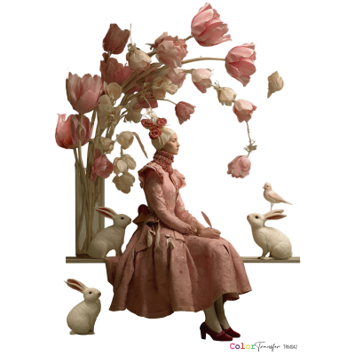 color-transfer-dtf-trm042-mujer-montejo-27x21cm