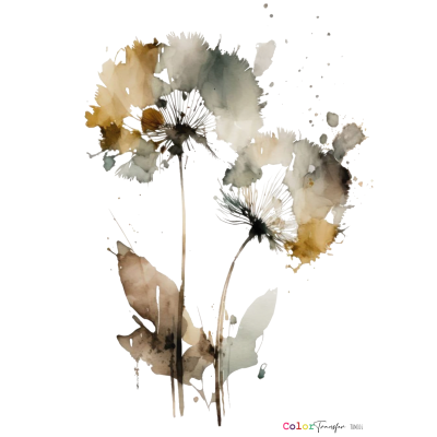 color-transfer-dtf-trm016-flores-montejo-27x21cm