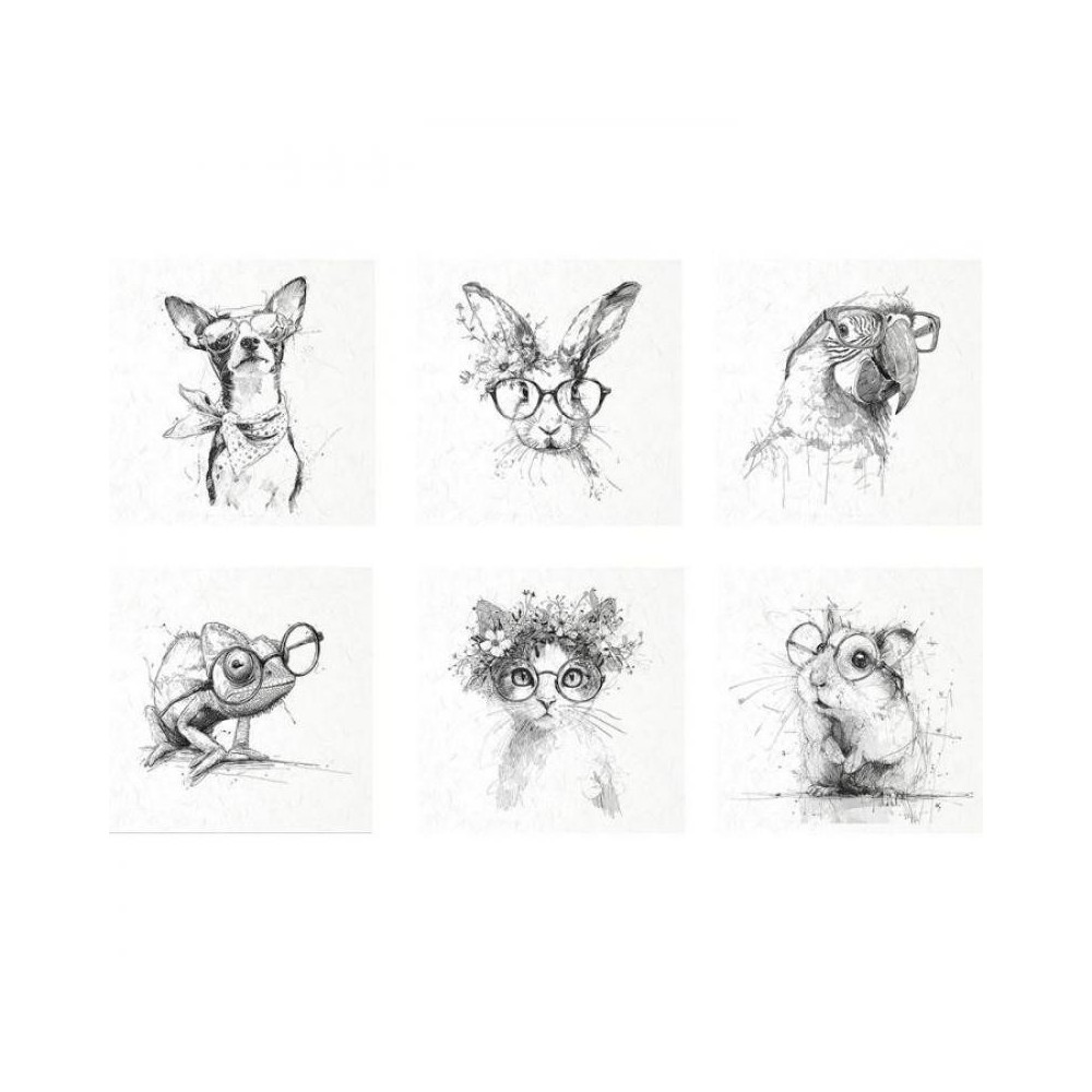 set-6-papel-arroz-mascotas-rsm255-Itd-148x148mm-2