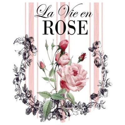 transfer-dtf-textil-la-vie-en-rose-25x30cm