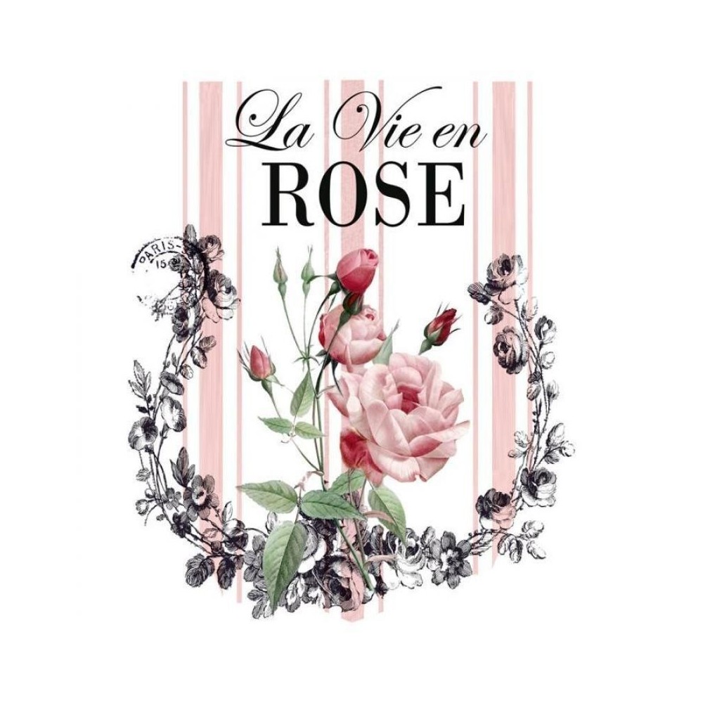 transfer-dtf-textil-la-vie-en-rose-25x30cm