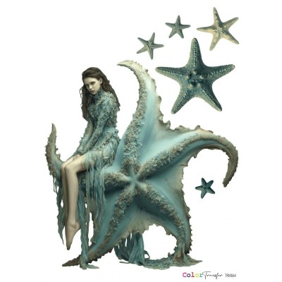color-transfer-sirenas-trm064-27x21cm