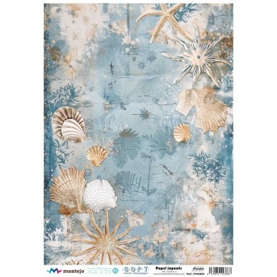 papel-arroz-japones-conchas-spa5983-montejo-a3