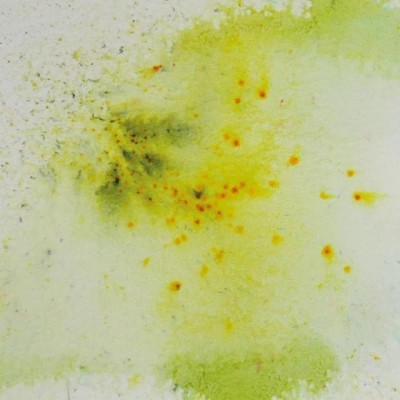 pigmento-en-polvo-artis-decor-topacio-lima-5gr-2