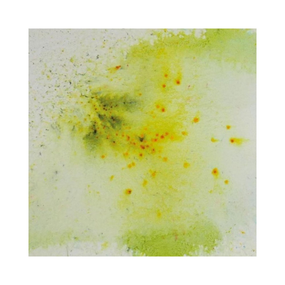pigmento-en-polvo-artis-decor-topacio-lima-5gr-2