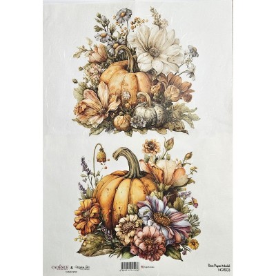 papel-arroz-calabazas-nagehan-aka-ng1503-cadence-a3
