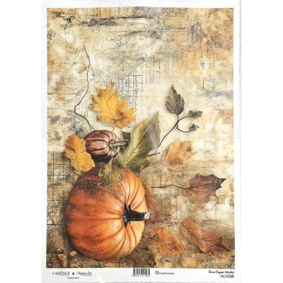 papel-arroz-calabazas-nagehan-aka-ng1098-cadence-a3