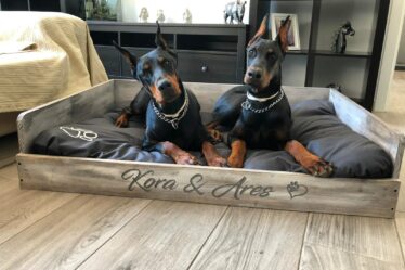 cama para perros de madera